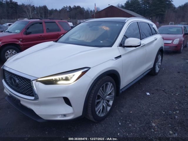 Photo 1 VIN: 3PCAJ5M34LF103981 - INFINITI QX50 