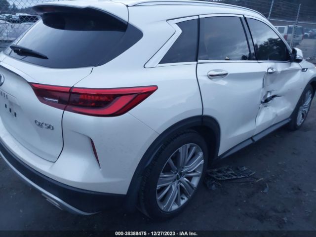 Photo 3 VIN: 3PCAJ5M34LF103981 - INFINITI QX50 