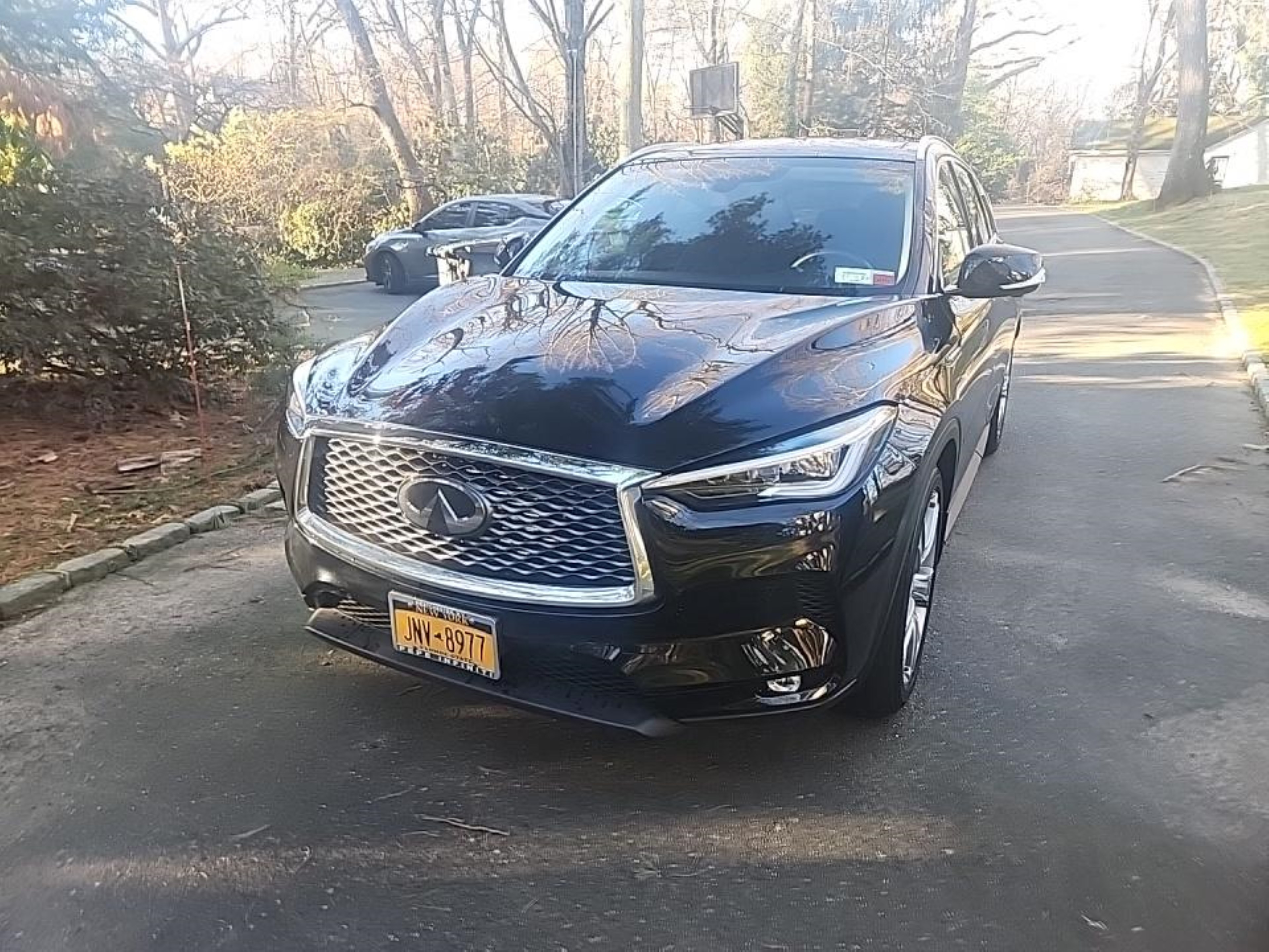 Photo 1 VIN: 3PCAJ5M34LF104550 - INFINITI QX50 