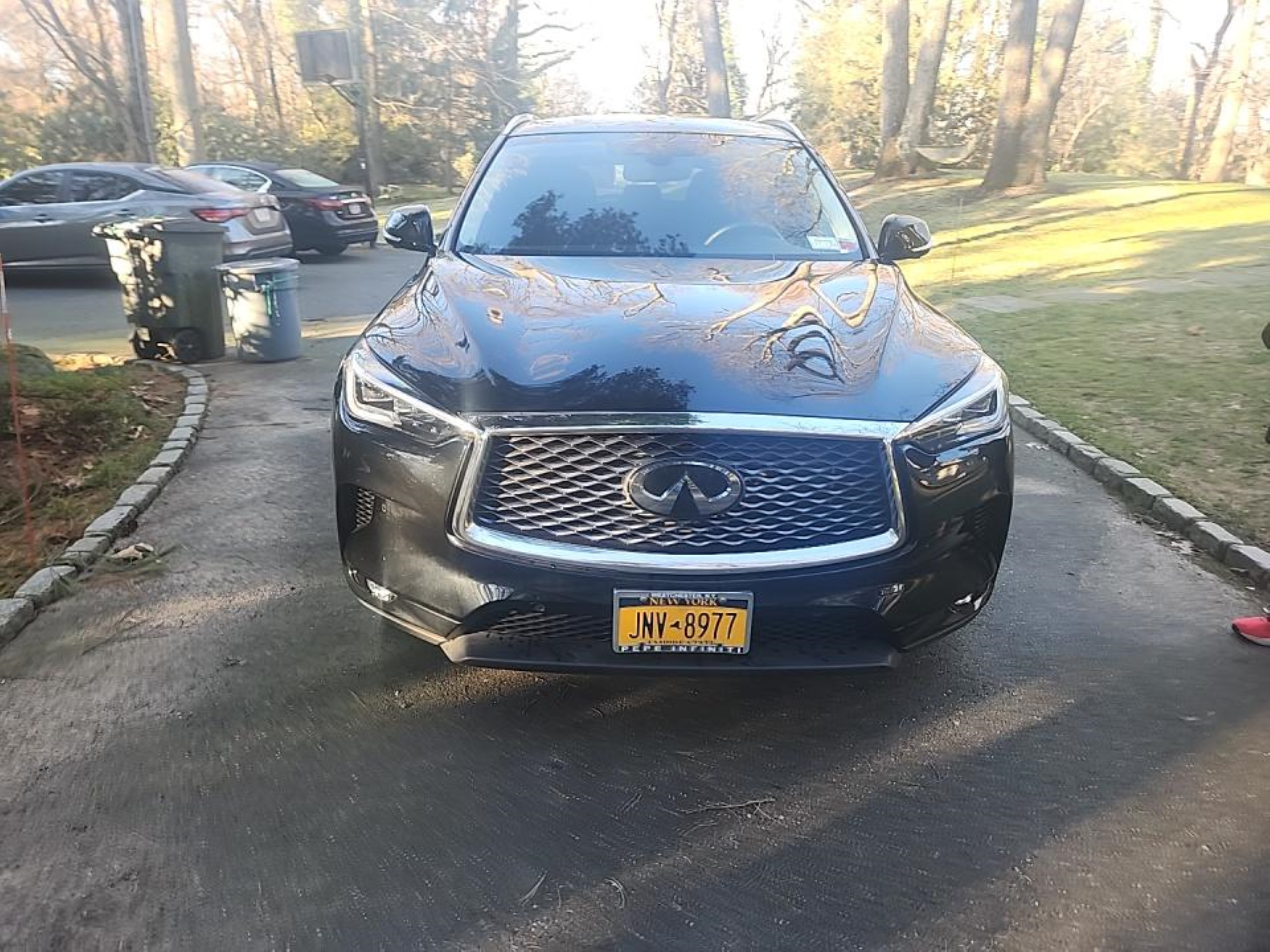 Photo 13 VIN: 3PCAJ5M34LF104550 - INFINITI QX50 