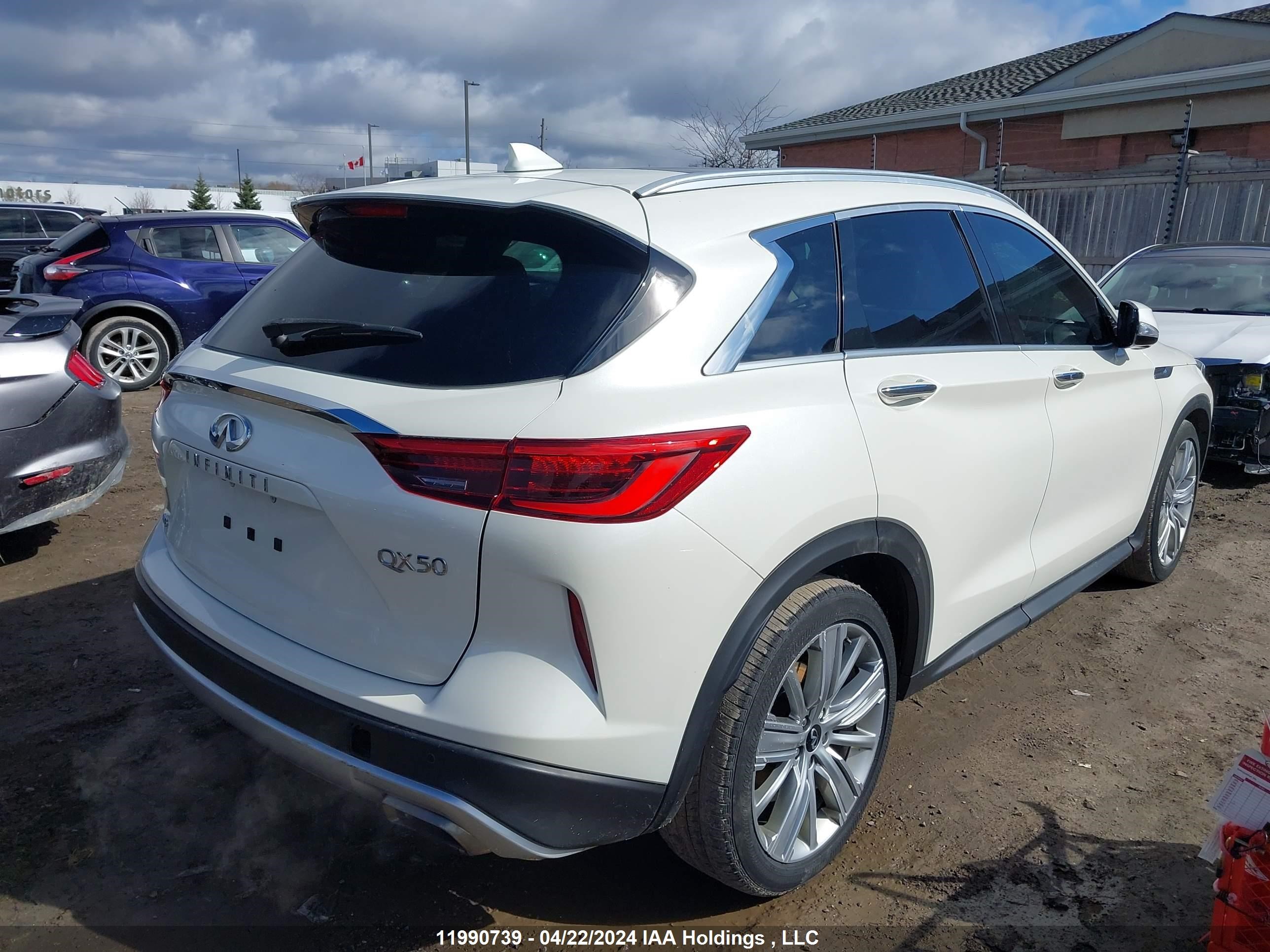 Photo 3 VIN: 3PCAJ5M35LF105836 - INFINITI QX50 