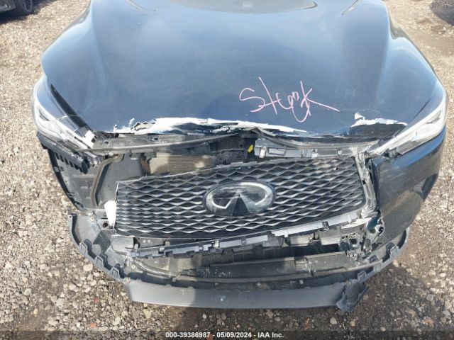 Photo 5 VIN: 3PCAJ5M35LF114665 - INFINITI QX50 