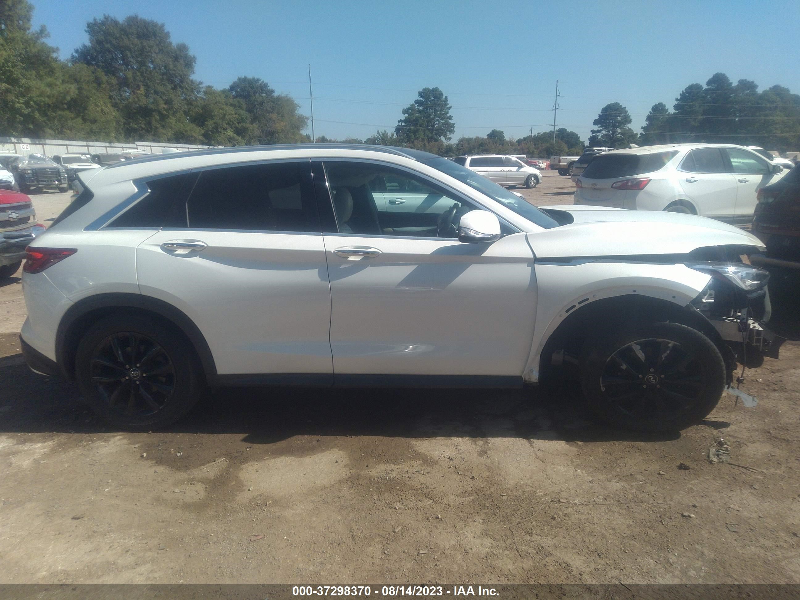 Photo 13 VIN: 3PCAJ5M36KF111157 - INFINITI QX50 