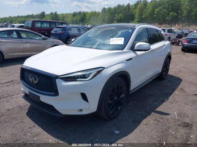 Photo 1 VIN: 3PCAJ5M37KF100975 - INFINITI QX50 