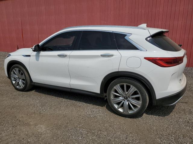 Photo 1 VIN: 3PCAJ5M38LF109380 - INFINITI QX50 