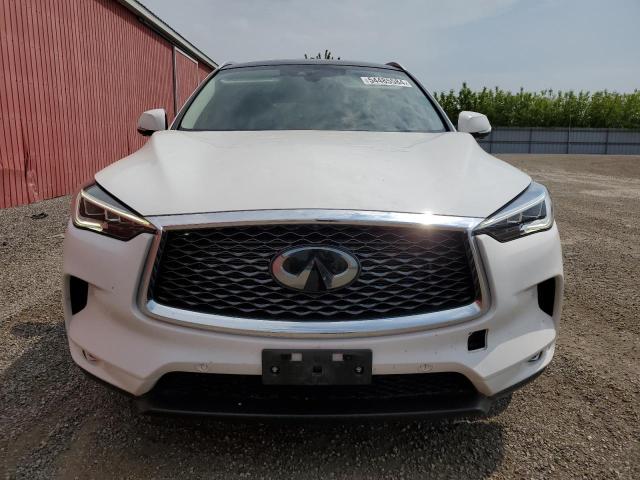 Photo 4 VIN: 3PCAJ5M38LF109380 - INFINITI QX50 