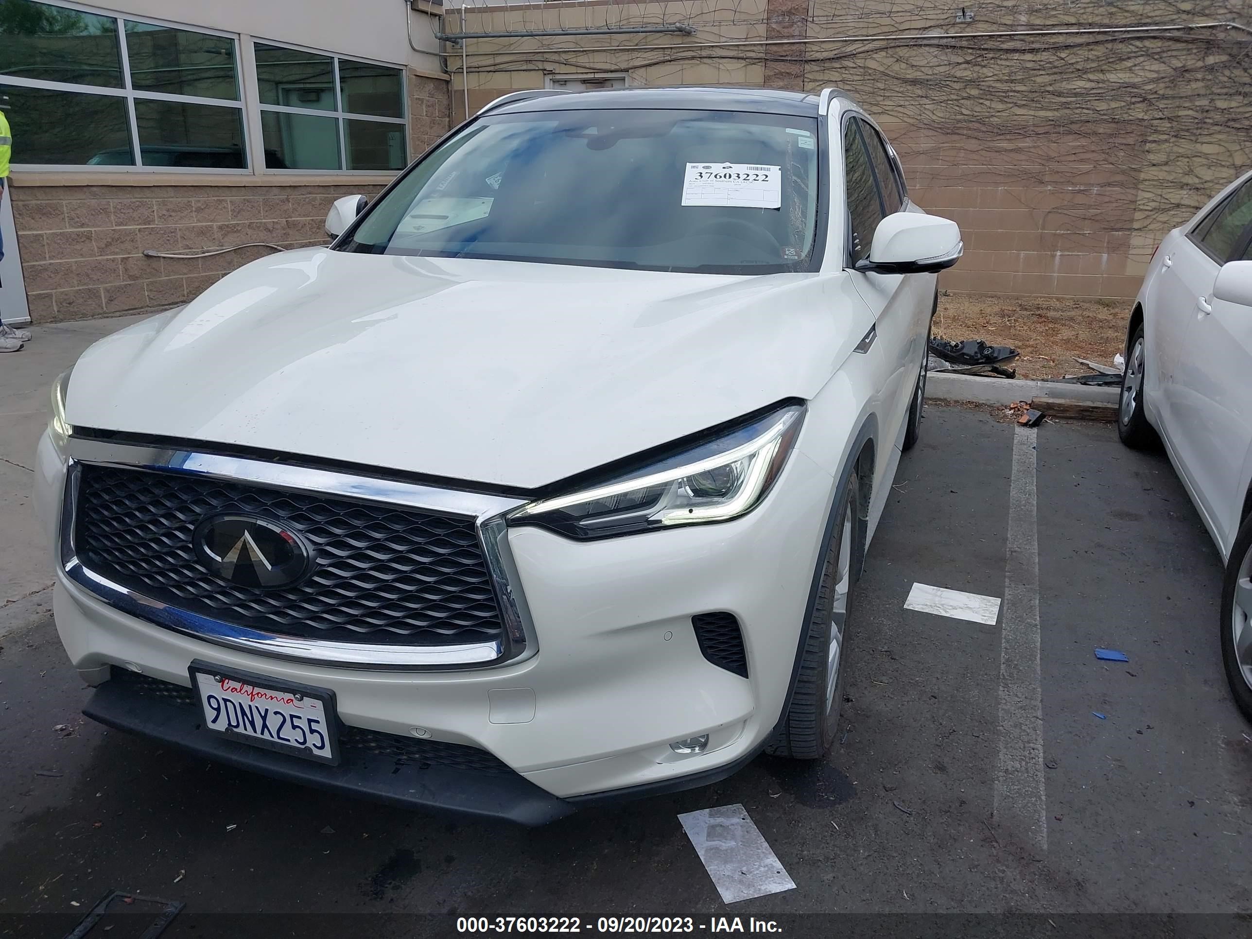 Photo 1 VIN: 3PCAJ5M39KF110987 - INFINITI QX50 