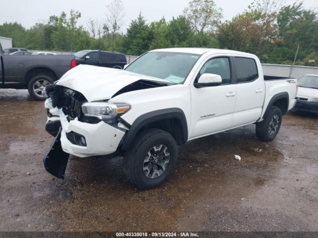 Photo 1 VIN: 3TMAZ5CN0MM146593 - TOYOTA TACOMA 