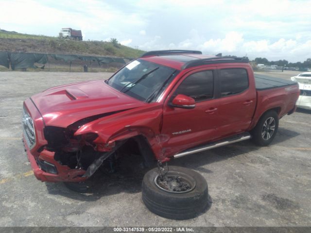 Photo 5 VIN: 3TMAZ5CN7GM015942 - TOYOTA TACOMA 