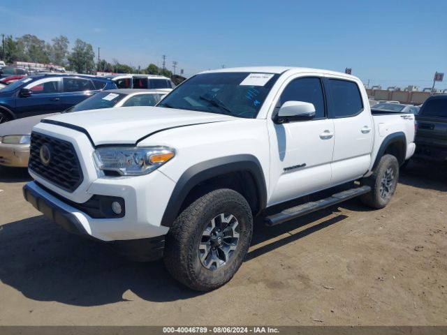 Photo 1 VIN: 3TMAZ5CN8MM143778 - TOYOTA TACOMA 