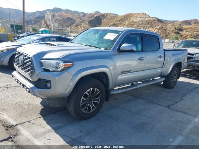 Photo 1 VIN: 3TMBZ5DN4MM030672 - TOYOTA TACOMA 