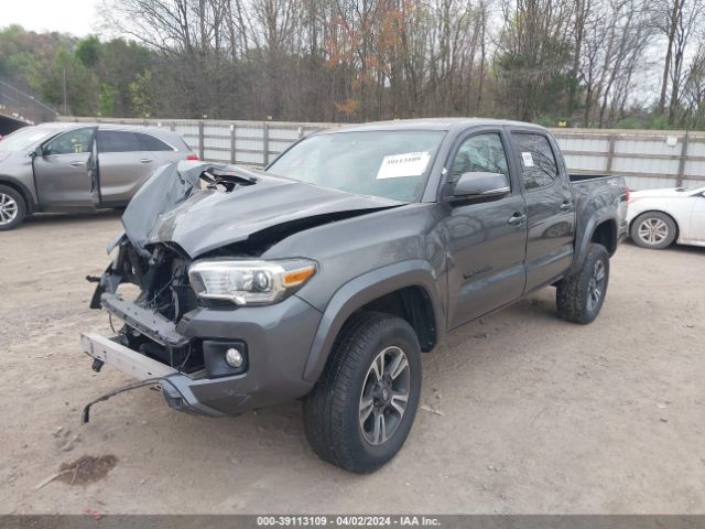 Photo 1 VIN: 3TMCZ5AN0HM116995 - TOYOTA TACOMA 