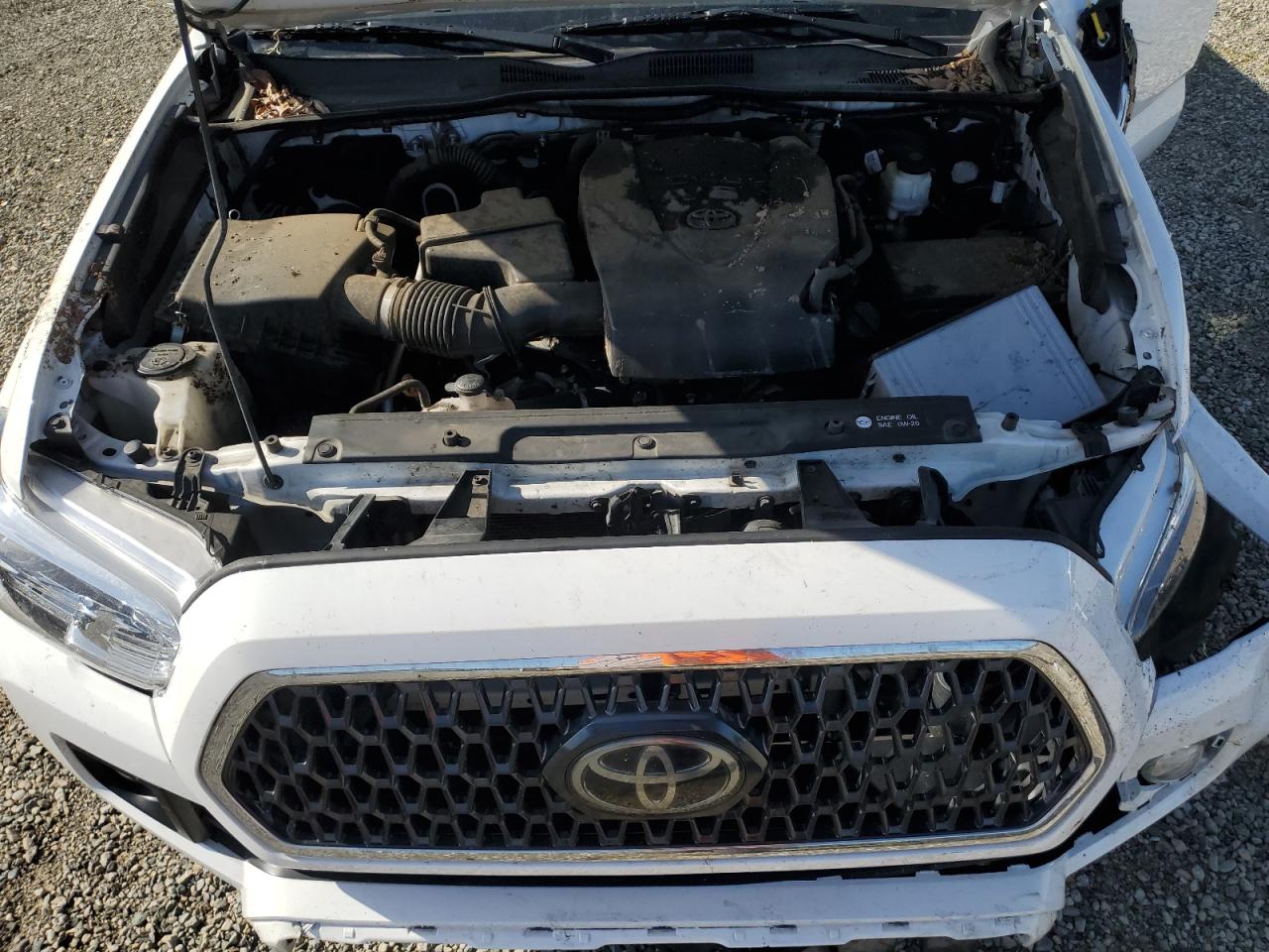 Photo 10 VIN: 3TMCZ5AN0KM222886 - TOYOTA TACOMA 