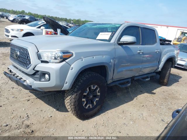 Photo 1 VIN: 3TMCZ5AN0KM239784 - TOYOTA TACOMA 