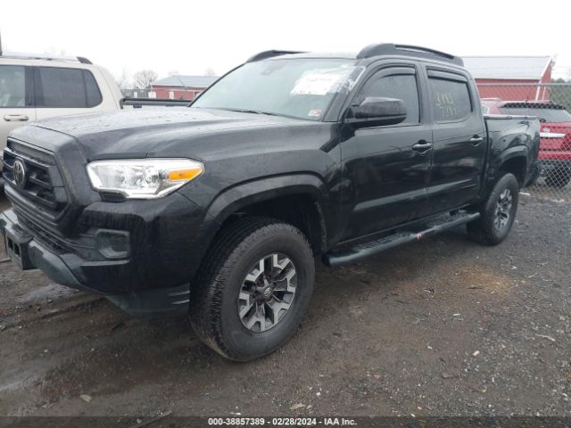 Photo 1 VIN: 3TMCZ5AN0MM372385 - TOYOTA TACOMA 