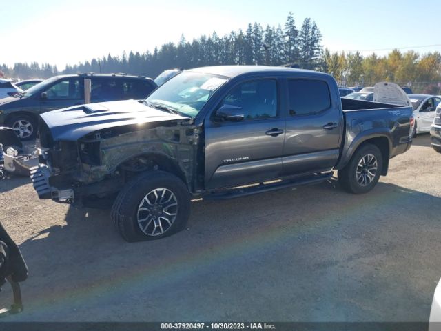 Photo 1 VIN: 3TMCZ5AN0MM416725 - TOYOTA TACOMA 