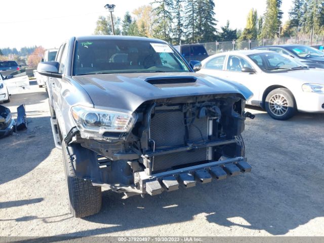 Photo 5 VIN: 3TMCZ5AN0MM416725 - TOYOTA TACOMA 