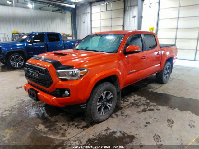 Photo 1 VIN: 3TMCZ5AN1GM011171 - TOYOTA TACOMA 