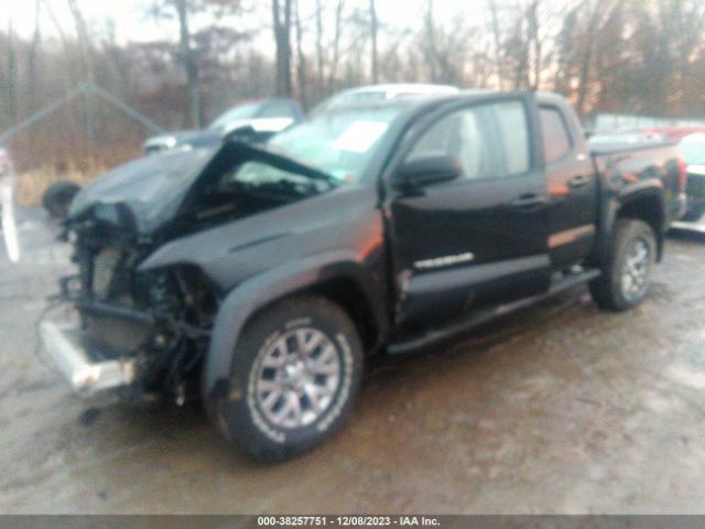 Photo 1 VIN: 3TMCZ5AN1HM075440 - TOYOTA TACOMA 