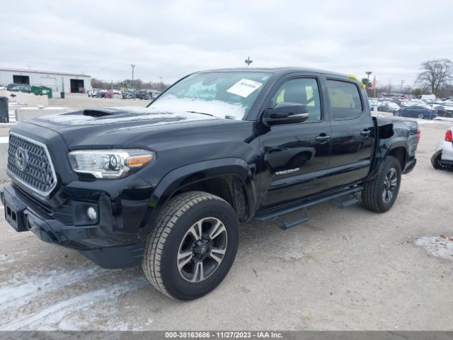 Photo 1 VIN: 3TMCZ5AN1KM210424 - TOYOTA TACOMA 