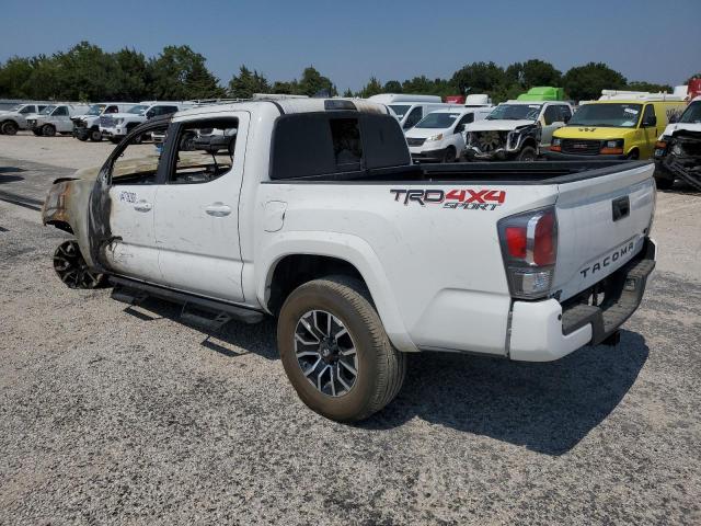 Photo 1 VIN: 3TMCZ5AN1LM296061 - TOYOTA TACOMA 