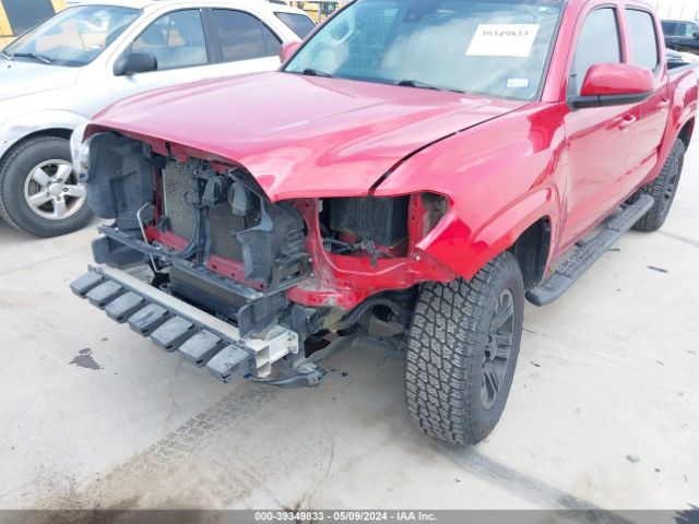 Photo 5 VIN: 3TMCZ5AN1LM344514 - TOYOTA TACOMA 