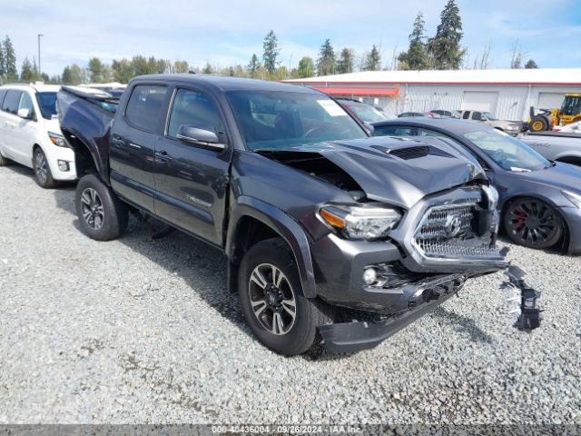 Photo 0 VIN: 3TMCZ5AN2GM019246 - TOYOTA TACOMA 