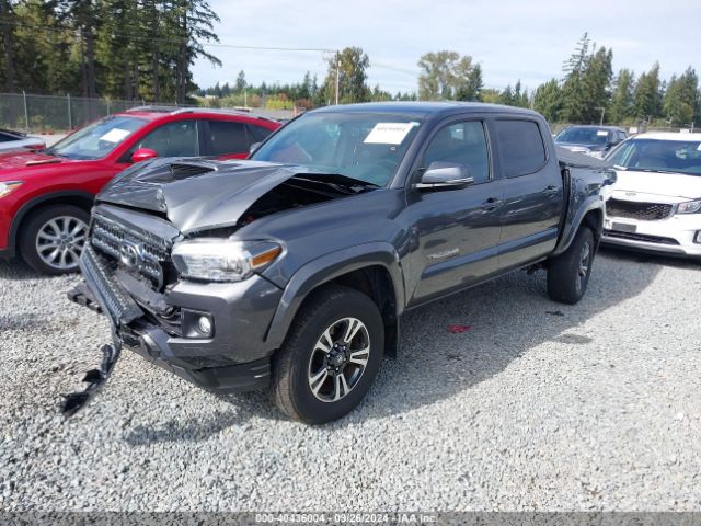 Photo 1 VIN: 3TMCZ5AN2GM019246 - TOYOTA TACOMA 