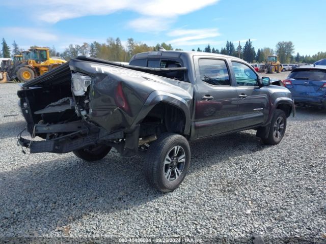 Photo 3 VIN: 3TMCZ5AN2GM019246 - TOYOTA TACOMA 