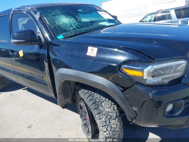 Photo 5 VIN: 3TMCZ5AN2LM295209 - TOYOTA TACOMA 