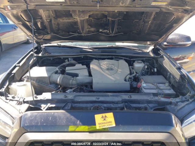 Photo 9 VIN: 3TMCZ5AN2LM295209 - TOYOTA TACOMA 