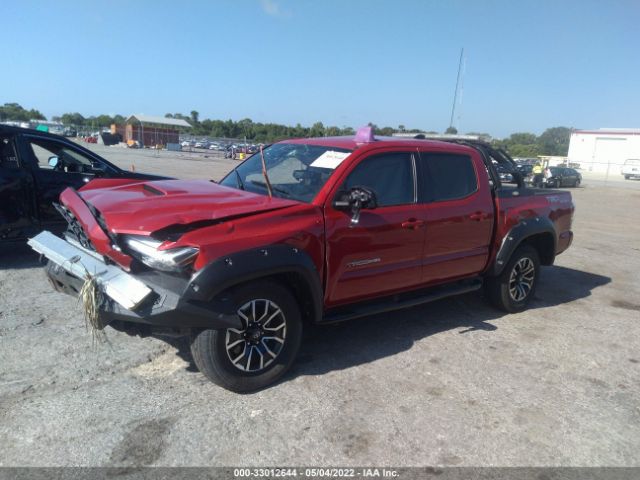 Photo 1 VIN: 3TMCZ5AN2LM303079 - TOYOTA TACOMA 4WD 