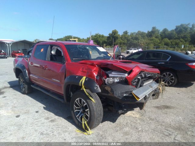 Photo 5 VIN: 3TMCZ5AN2LM303079 - TOYOTA TACOMA 4WD 