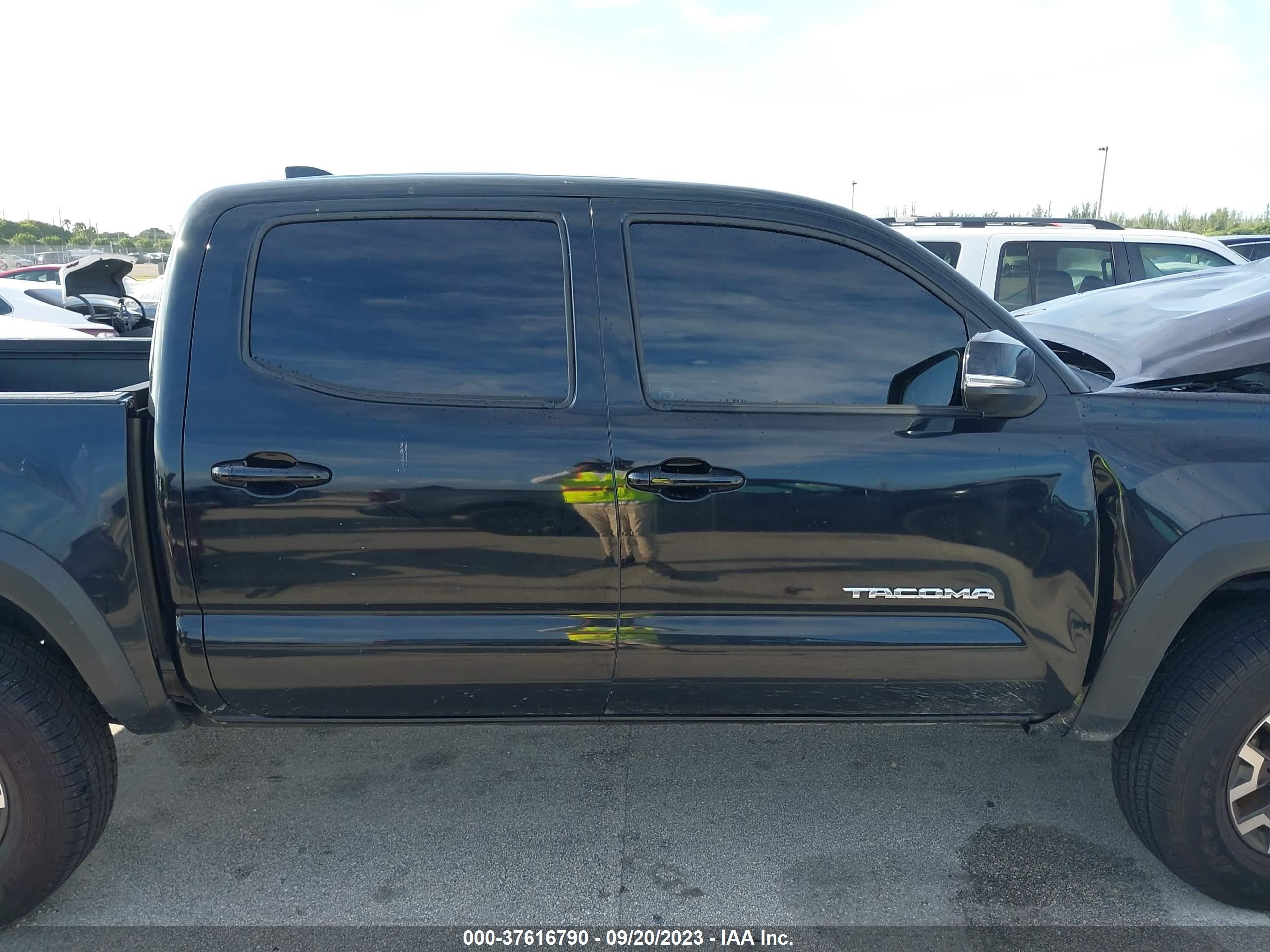 Photo 12 VIN: 3TMCZ5AN2LM343369 - TOYOTA TACOMA 