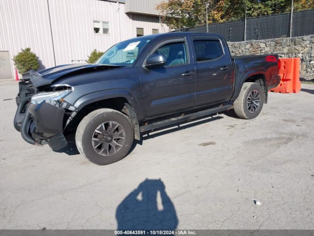 Photo 1 VIN: 3TMCZ5AN2LM346532 - TOYOTA TACOMA 