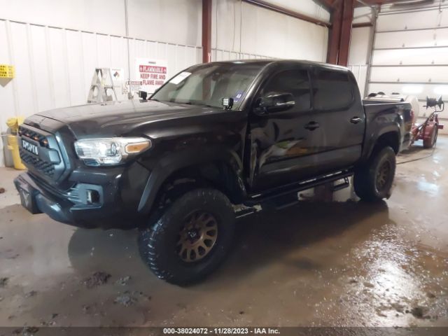 Photo 1 VIN: 3TMCZ5AN3KM223126 - TOYOTA TACOMA 