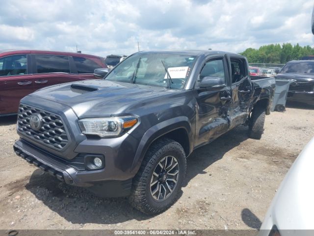 Photo 1 VIN: 3TMCZ5AN3LM339850 - TOYOTA TACOMA 