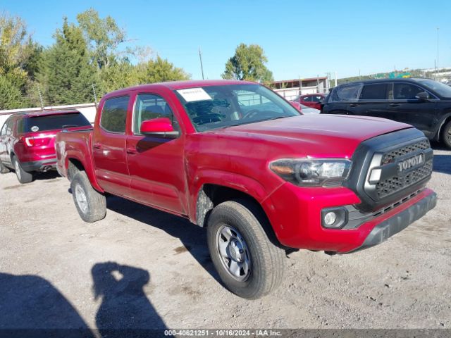 Photo 0 VIN: 3TMCZ5AN3LM343767 - TOYOTA TACOMA 