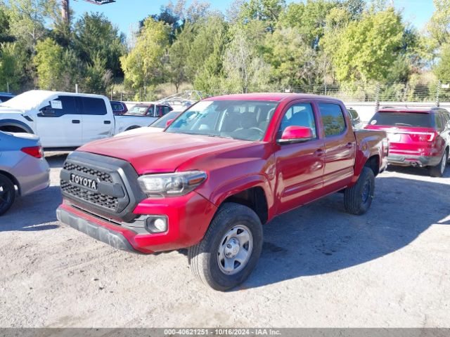 Photo 1 VIN: 3TMCZ5AN3LM343767 - TOYOTA TACOMA 