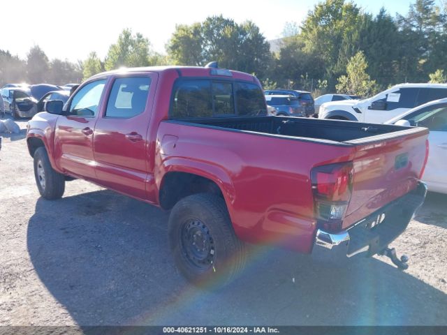 Photo 2 VIN: 3TMCZ5AN3LM343767 - TOYOTA TACOMA 