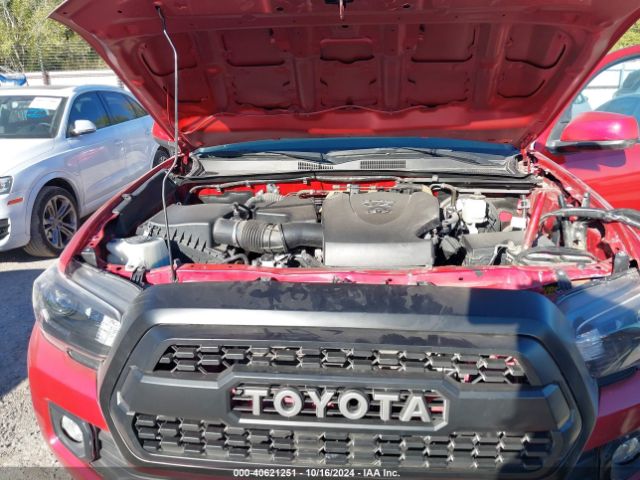 Photo 9 VIN: 3TMCZ5AN3LM343767 - TOYOTA TACOMA 