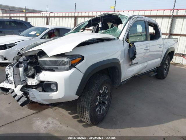 Photo 1 VIN: 3TMCZ5AN3MM448679 - TOYOTA TACOMA 