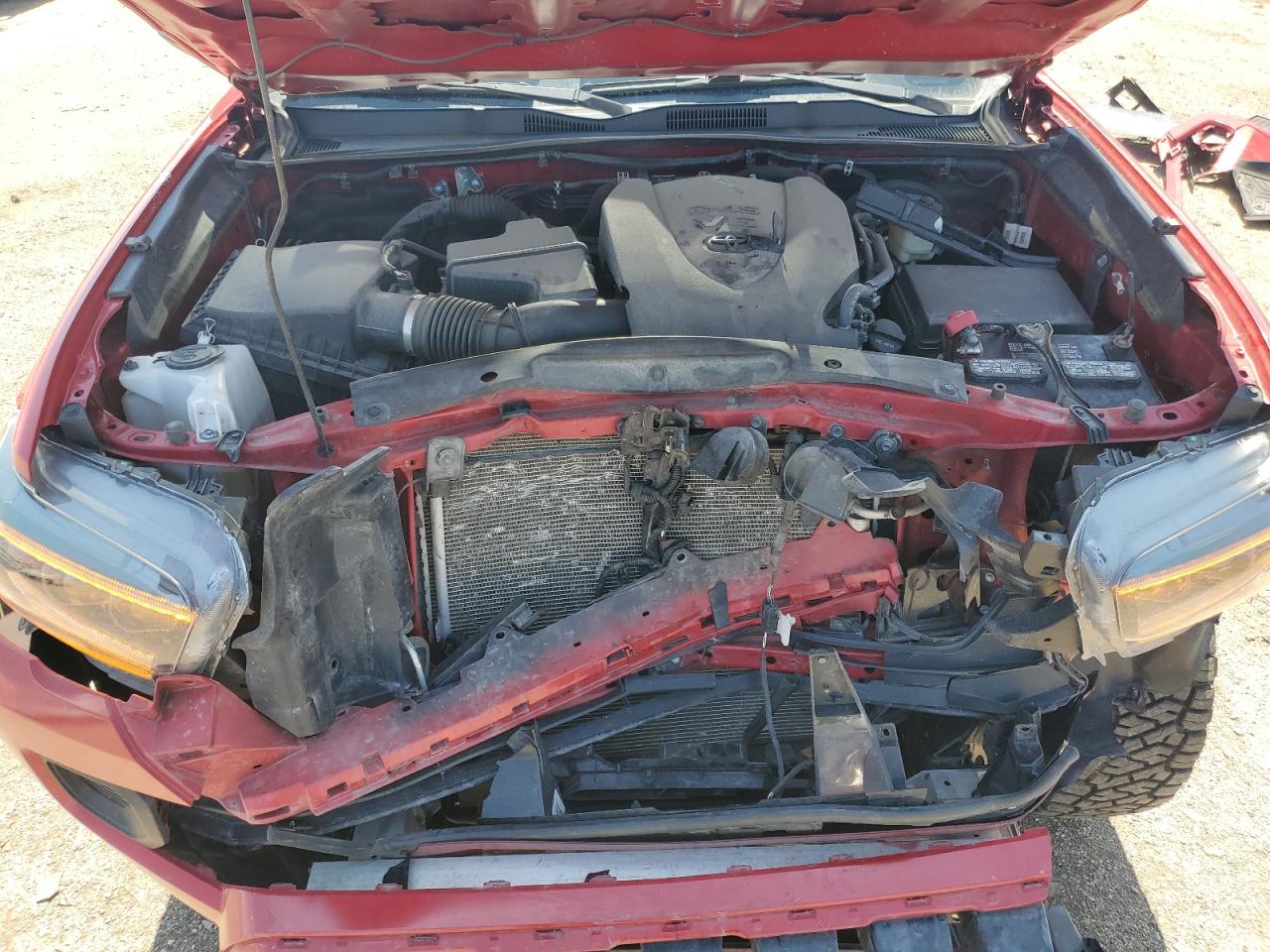 Photo 10 VIN: 3TMCZ5AN3NM523611 - TOYOTA TACOMA 