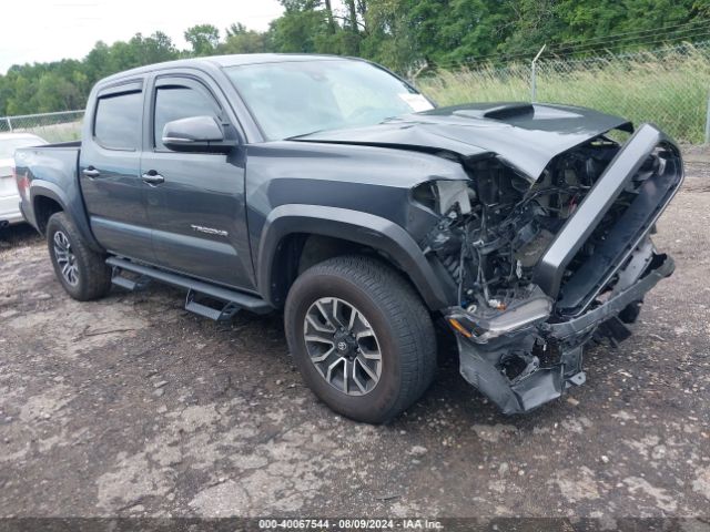 Photo 0 VIN: 3TMCZ5AN3PM563464 - TOYOTA TACOMA 