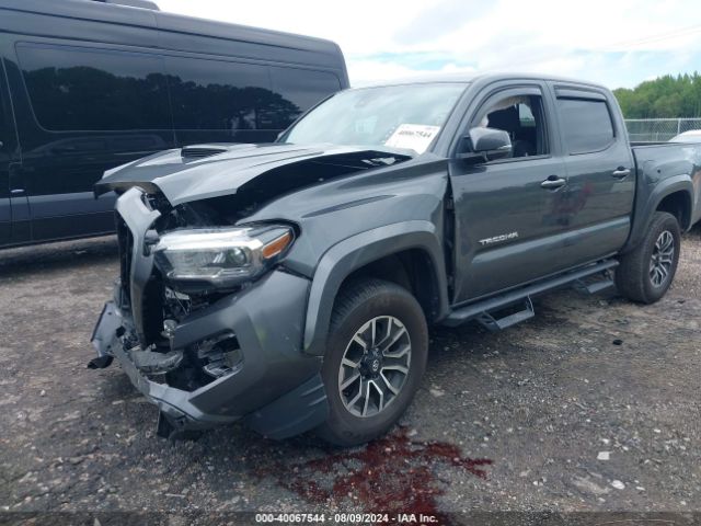 Photo 1 VIN: 3TMCZ5AN3PM563464 - TOYOTA TACOMA 