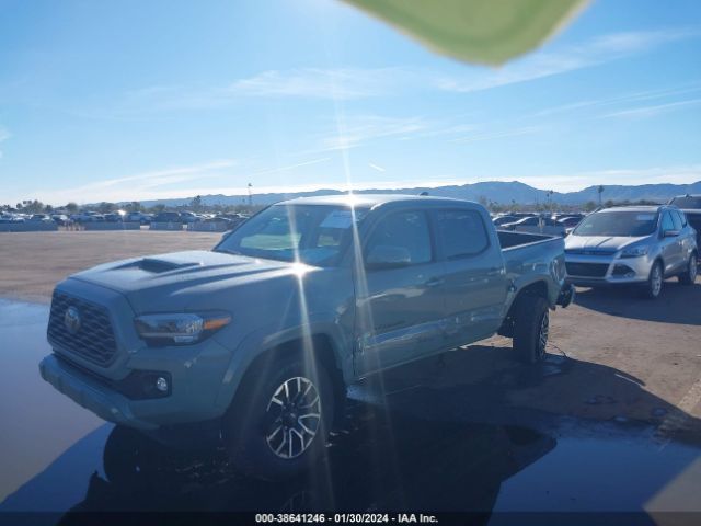 Photo 1 VIN: 3TMCZ5AN3PM592950 - TOYOTA TACOMA 