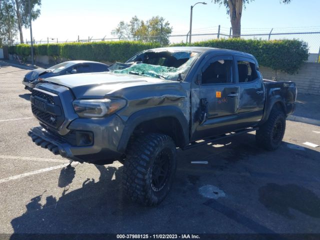 Photo 1 VIN: 3TMCZ5AN4GM033665 - TOYOTA TACOMA 