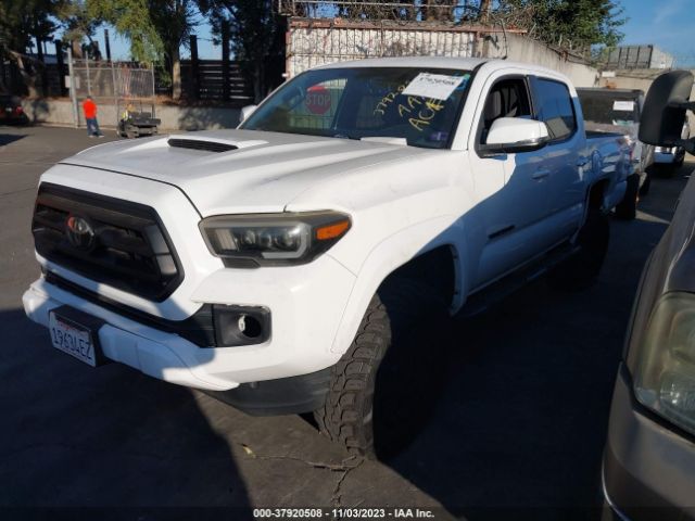 Photo 1 VIN: 3TMCZ5AN4HM070216 - TOYOTA TACOMA 