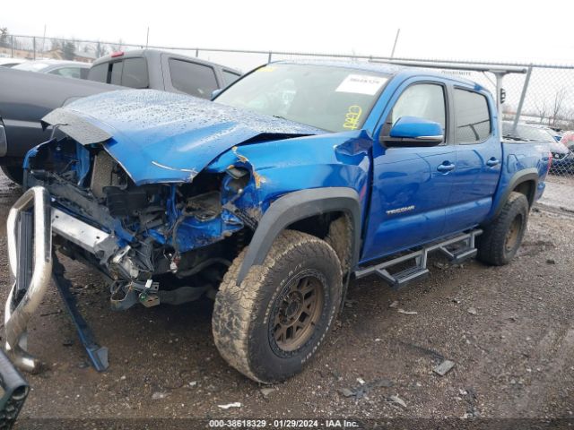 Photo 1 VIN: 3TMCZ5AN4HM072449 - TOYOTA TACOMA 