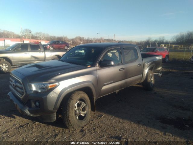 Photo 1 VIN: 3TMCZ5AN4HM111556 - TOYOTA TACOMA 